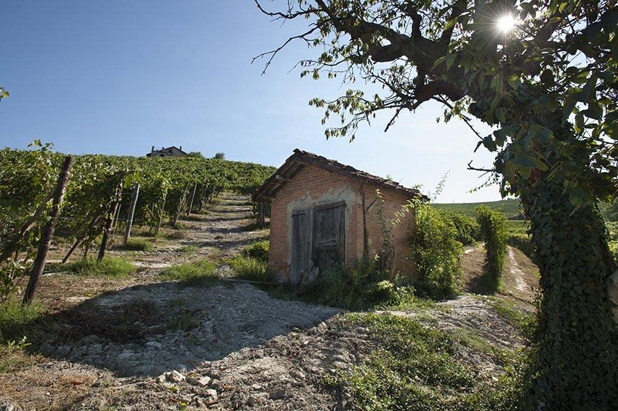 Cascina Ballarin La Morra Exterior foto