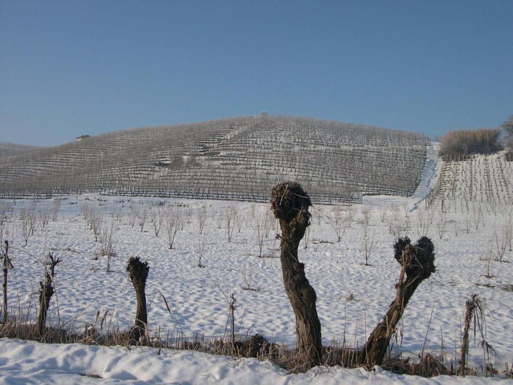 Cascina Ballarin La Morra Exterior foto