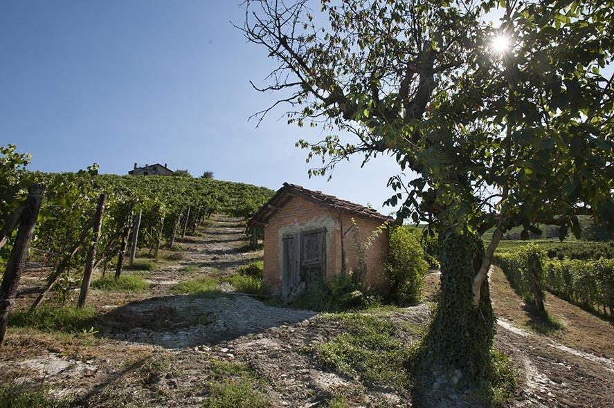 Cascina Ballarin La Morra Exterior foto